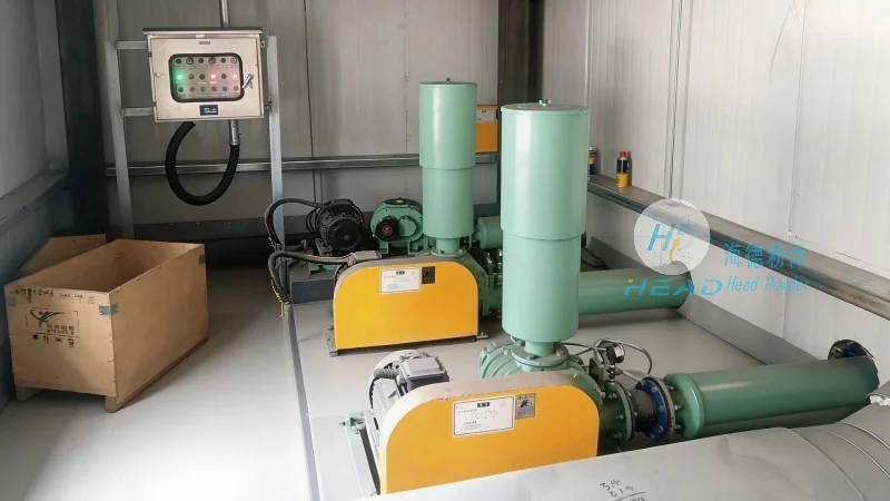 Ucrânia Ventimiglia Desulfurizador em Pó Projeto de Transporte Pneumático